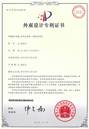 중국디자인특허 copy